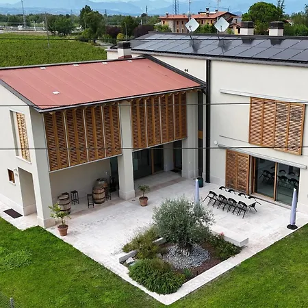 B&B Il Vigneto-3